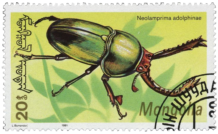 A postage stamp depicting a beetle